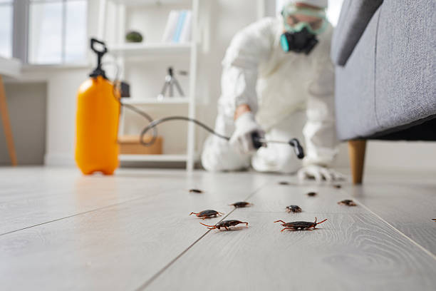 Commercial Kitchen Cockroach Control in Middlesex